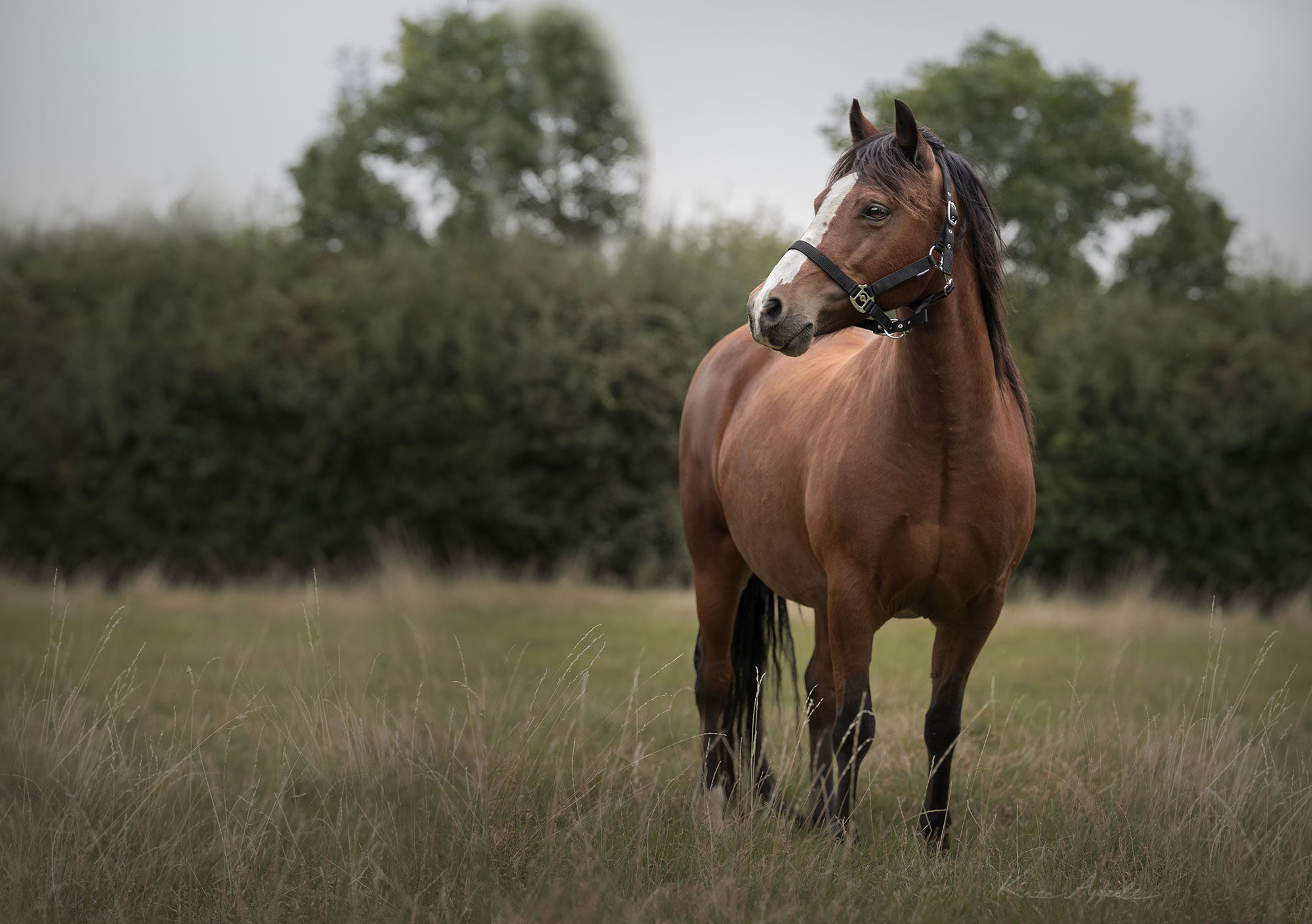 2024-09-15-Holly-Skelton-374-Edit