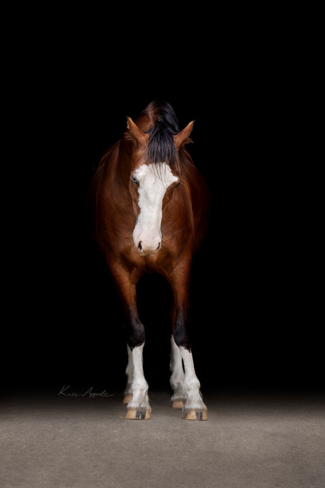 24-07-20-Jenni-and-Sophie--168-Edit-1