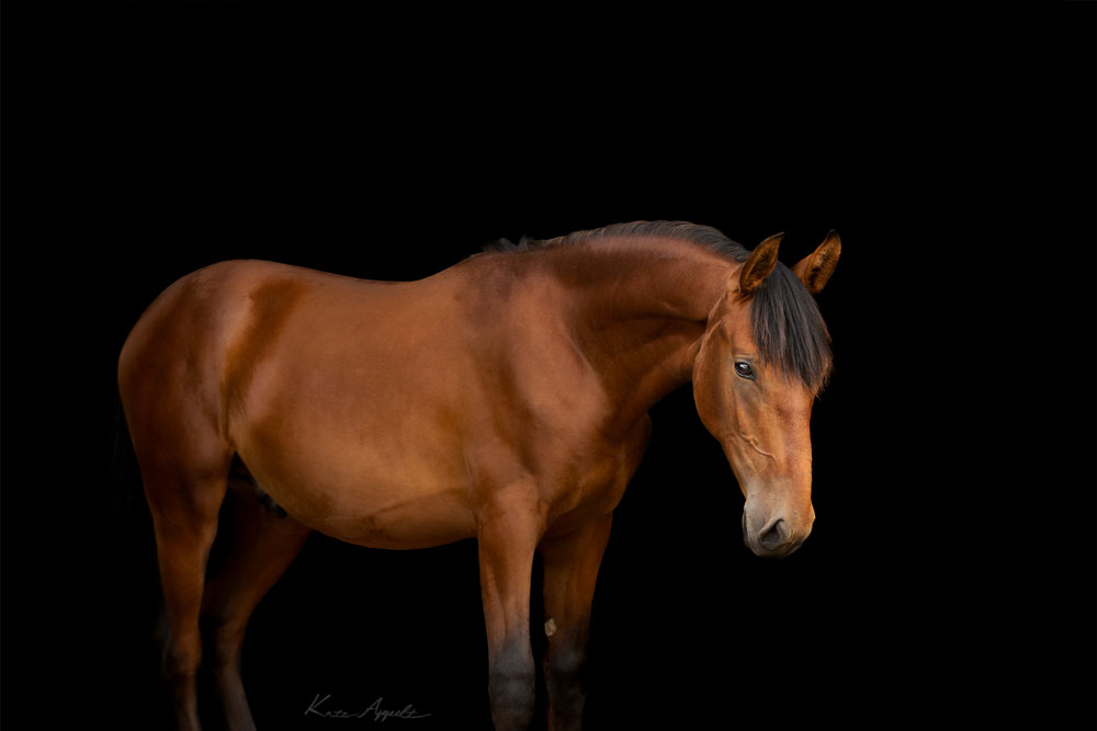 24-07-20-Jenni-and-Sophie--299-Edit-1