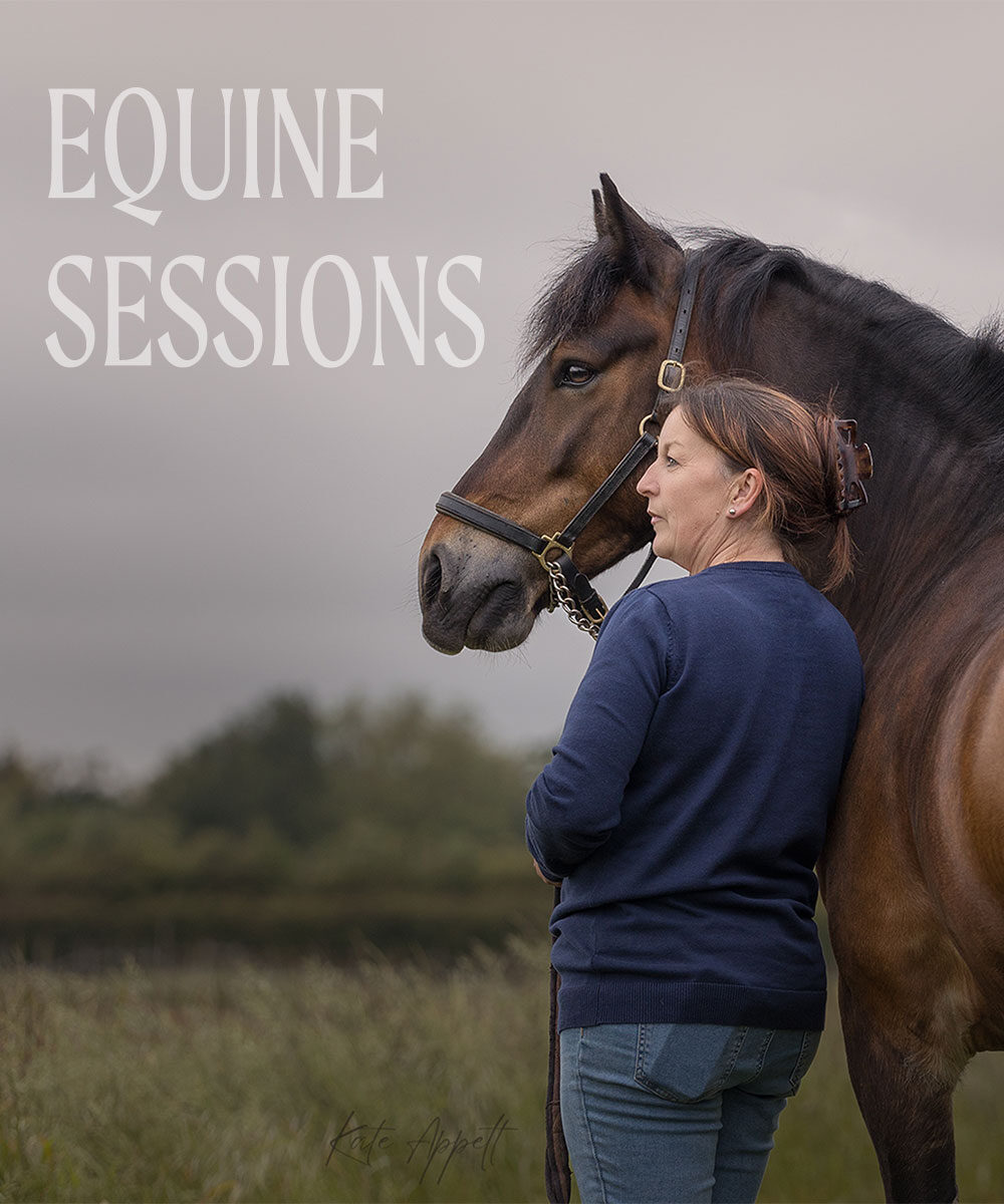 equine-sessions