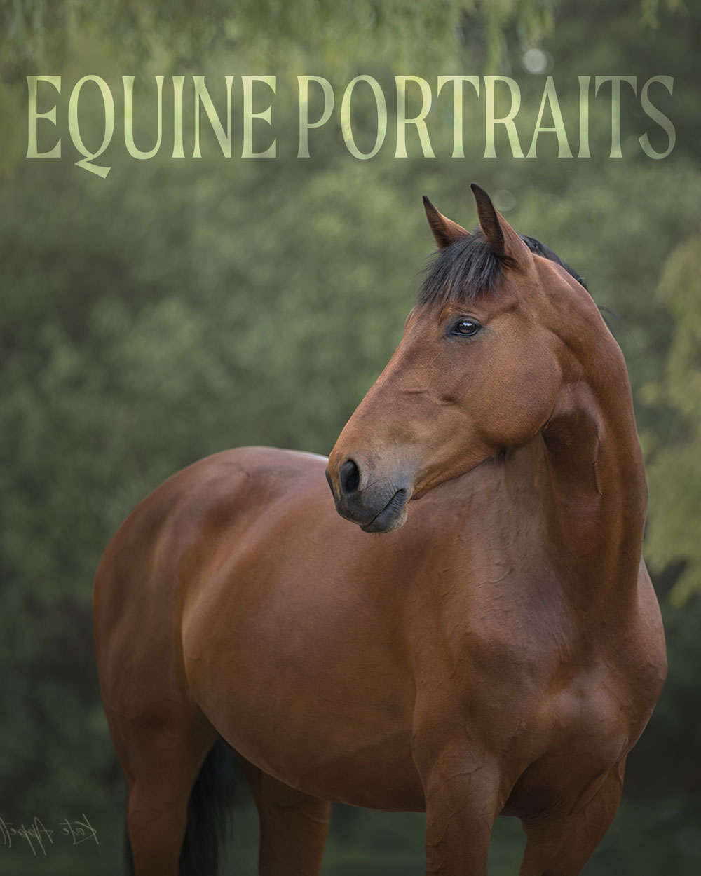 equine